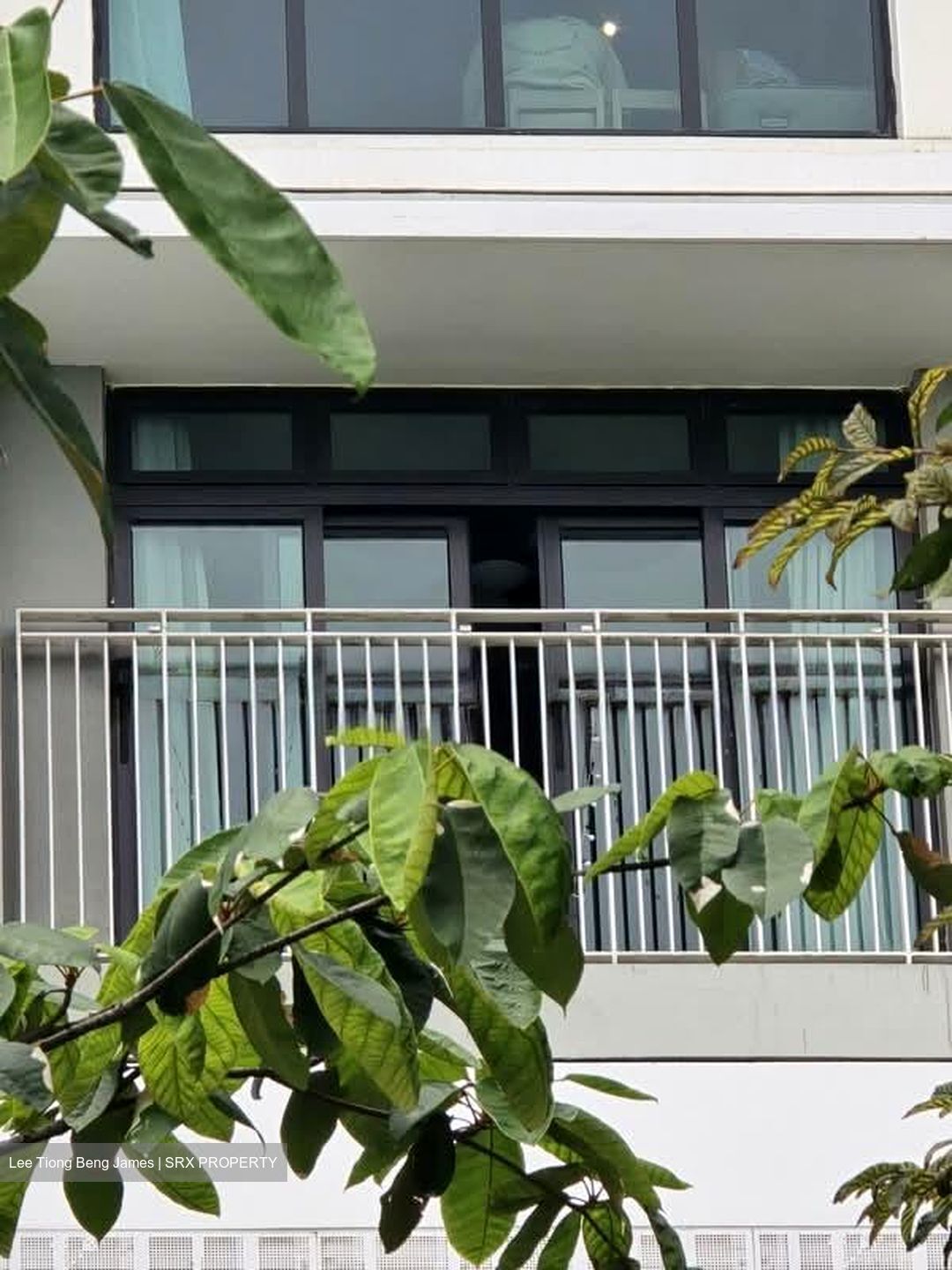 Verdale (D21), Apartment #563442451